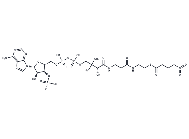 S-4-Nitrobutyryl-CoA