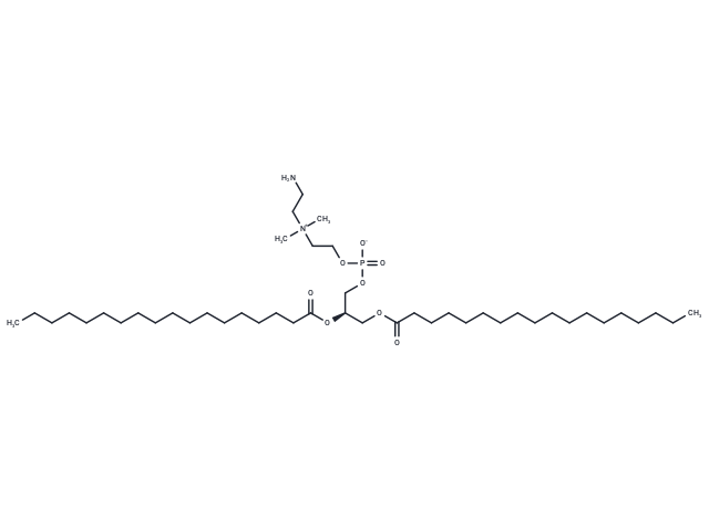 18:0 Aminoethyl PC