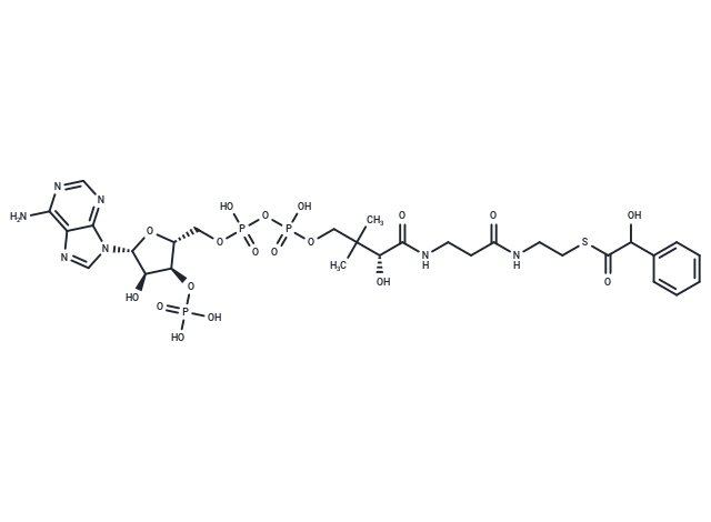 Mandelyl-CoA