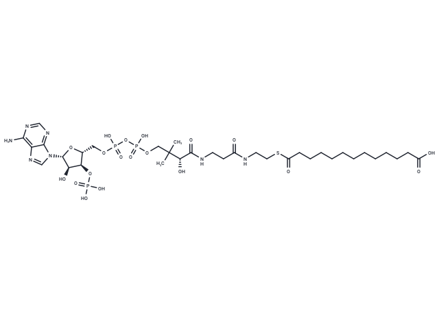 Tridecanedioyl-CoA