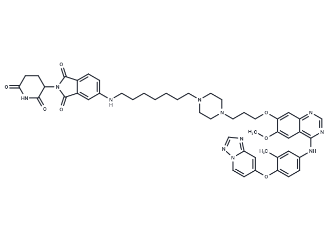 PROTAC HER2 degrader-1