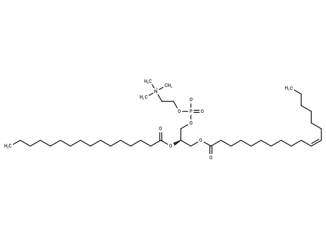18:1(n7)-16:0 PC - IsoPure
