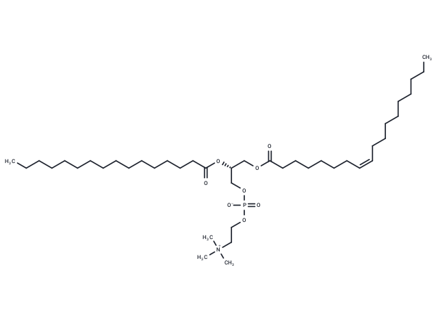 18:1(n10)-16:0 PC - IsoPure