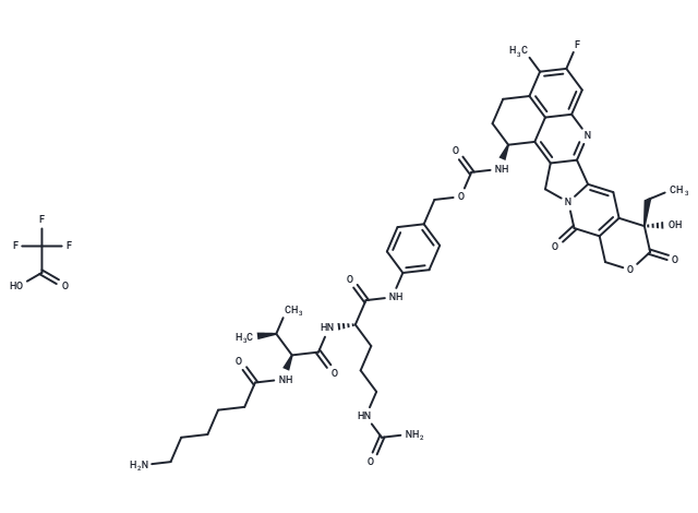 Aminocaproyl-Val-Cit-PABC-Exatecan TFA