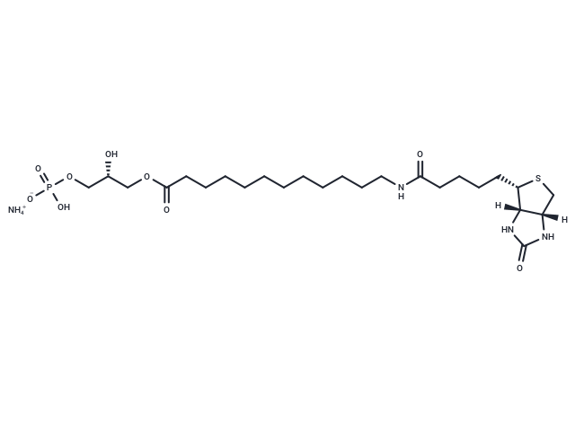 12:0 Biotinyl LPA ammonium