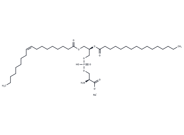 18:1(n9)-16:0 PS - IsoPure sodium