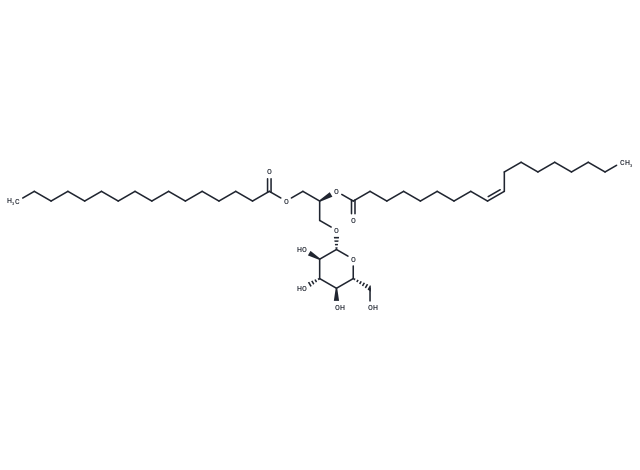 16:0-18:1 DG Glucose