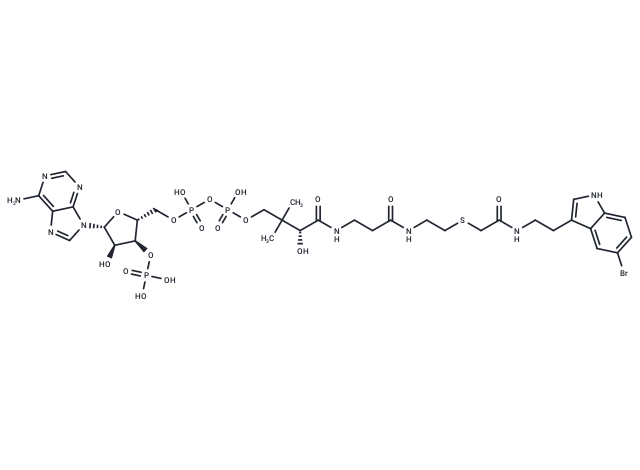 CoA-S-acetyl-5-bromotryptamine