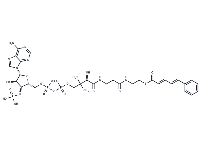 5-Phenyl-trans-2,trans-4-pentadienoyl-CoA