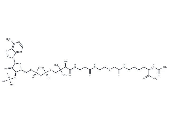 Ac-Lys(CoA)-NH2