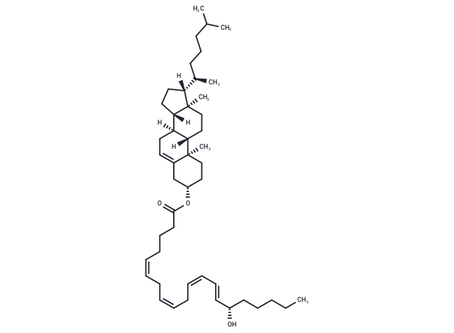 15(S)-HETE Cholesteryl ester