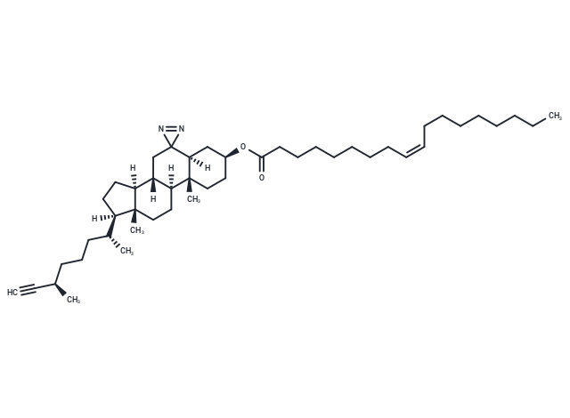 18:1 Photoclick cholesterol II