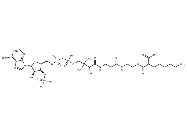 Hexylmalonyl-CoA