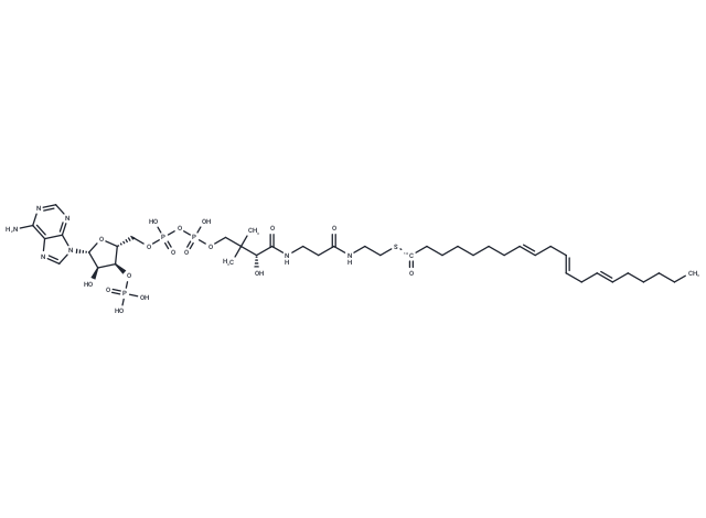 8,11,14-Eicosatrienoyl-CoA