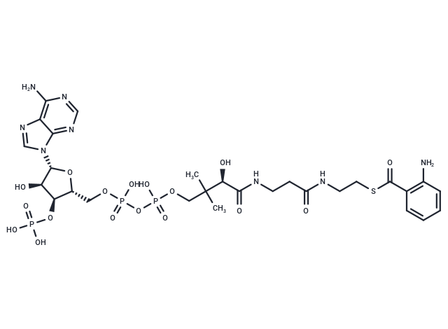Anthranilyl-CoA