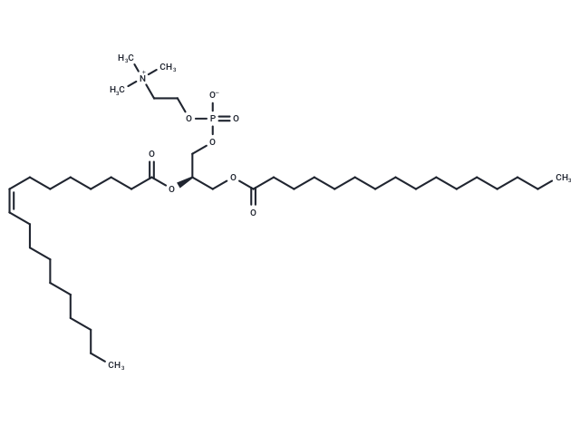 16:0-18:1(n10) PC - IsoPure
