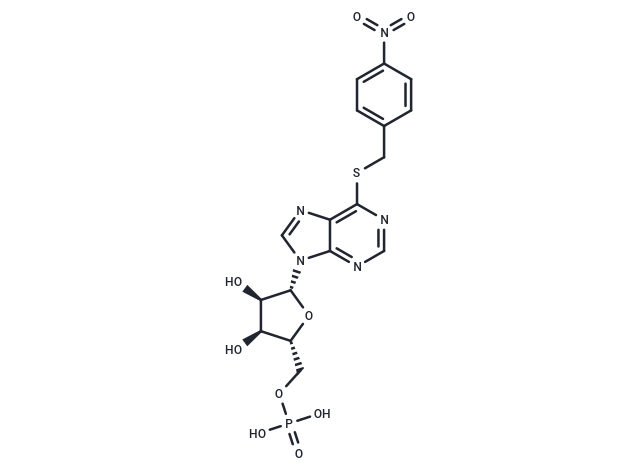 Nitrobenzylthioinosine 5'-monophosphate