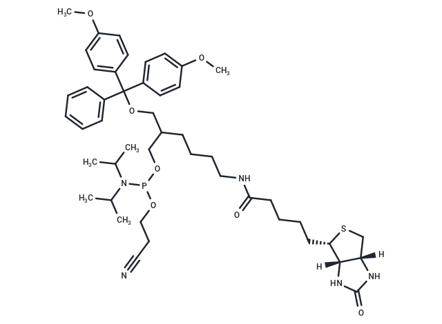 DMT-biotinylated phosphoramidite