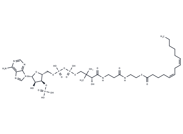 5-cis-8-cis-Tetradecadienoyl-CoA