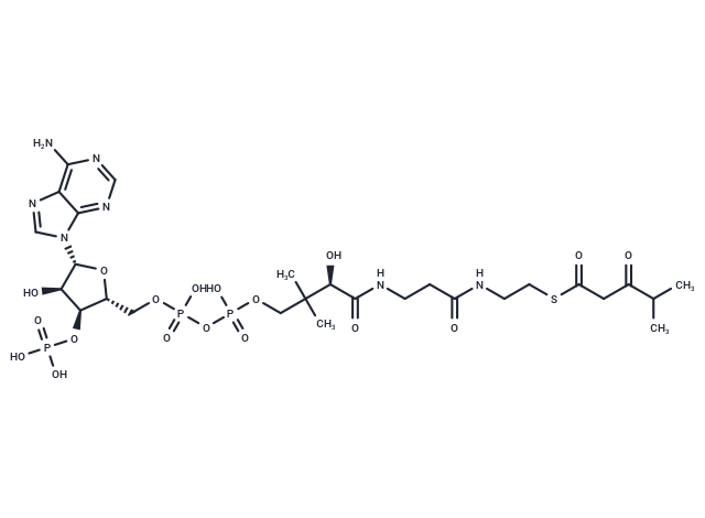 3-Oxo-4-methyl-pentanoyl-CoA