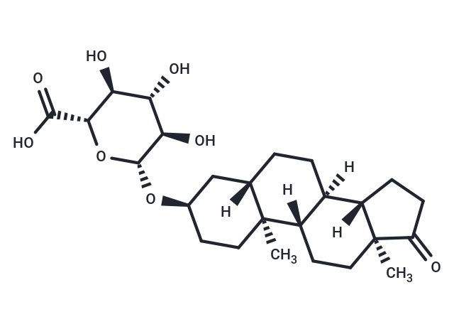 Androsterone glucuronide