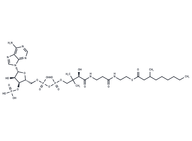 3-Nethylnonanoyl-CoA