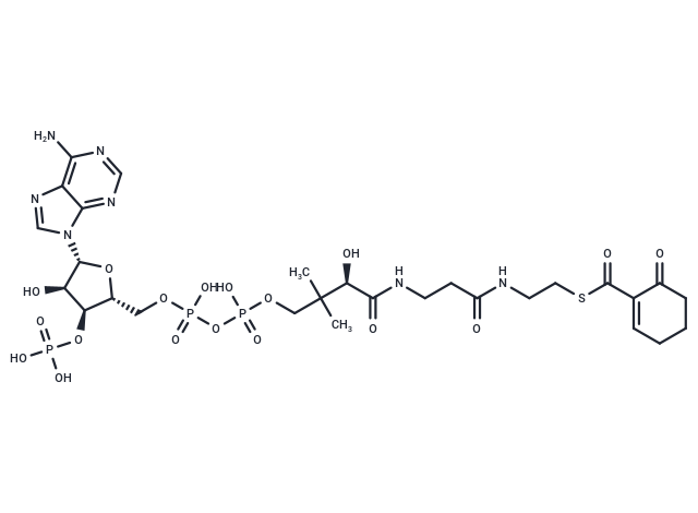 6-Oxocyclohex-1-ene-1-carbonyl-CoA