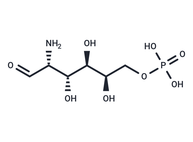 Chondrosamine, 6-phosphate