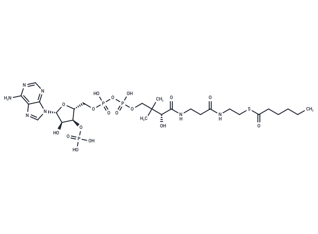 Hexanoyl-coenzyme A