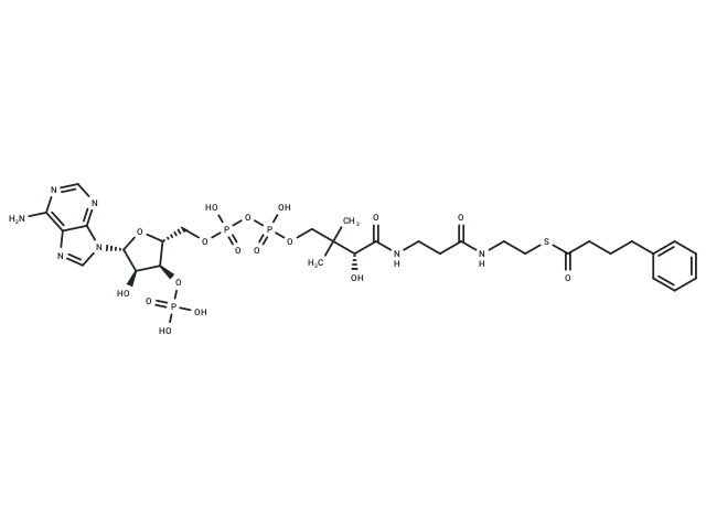 4-Phenylbutanoyl-CoA