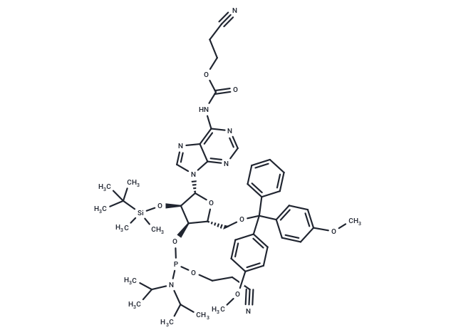 5'-DMT-3'-CE-2'-TBDMS cyanoethoxycarbonyl-adenosine