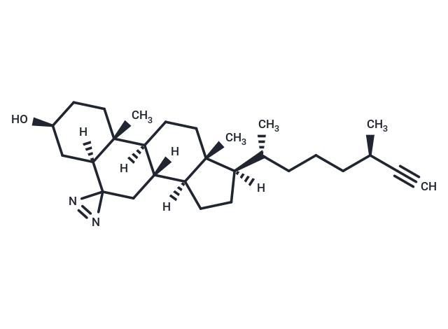 Photoclick cholesterol II