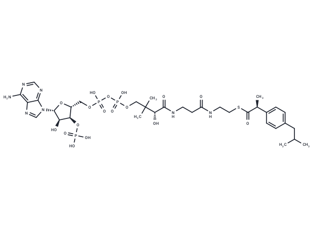 Ibuprofenyl-CoA