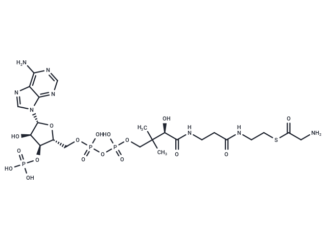 Glycine-CoA