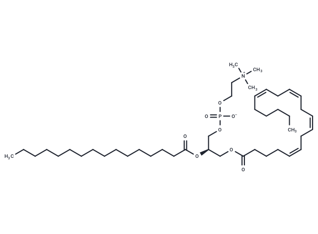 20:4-16:0 PC - IsoPure