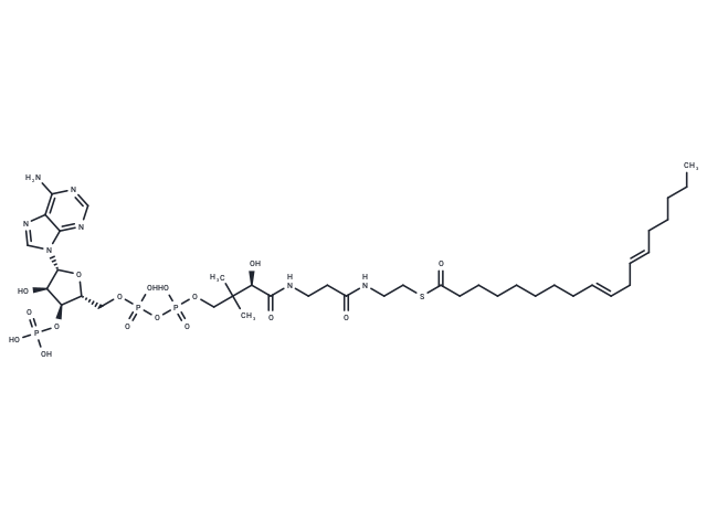 Linolenoyl-CoA
