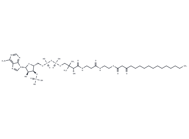 3-Oxohexadecanoyl-CoA