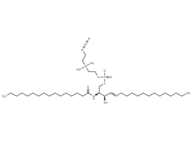 16:0 Azidoethyl SM (d18:1/16:0)