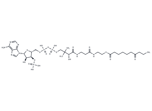 7-Oxodecanoyl-CoA