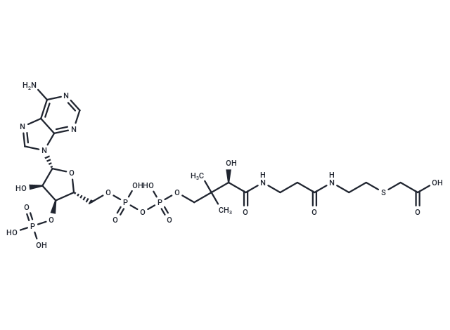 Carboxymethyl-CoA