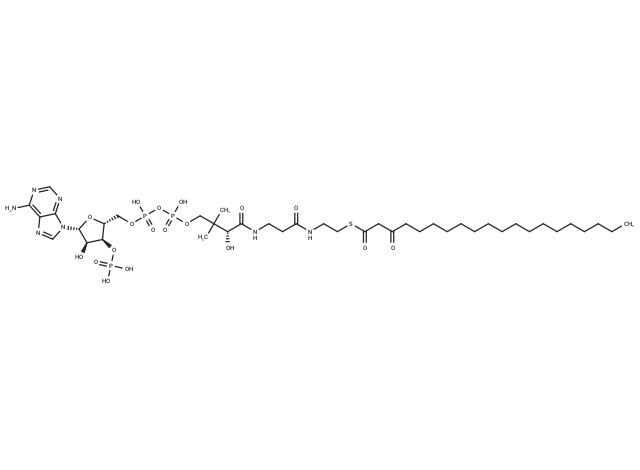 3-Oxoicosanoyl-CoA