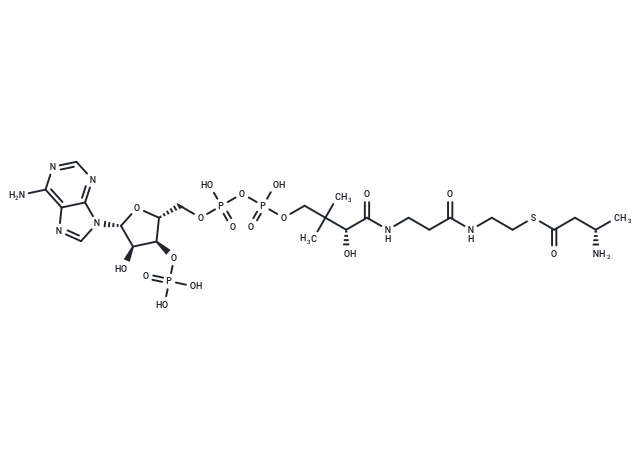 L-3-Aminobutanoyl-CoA
