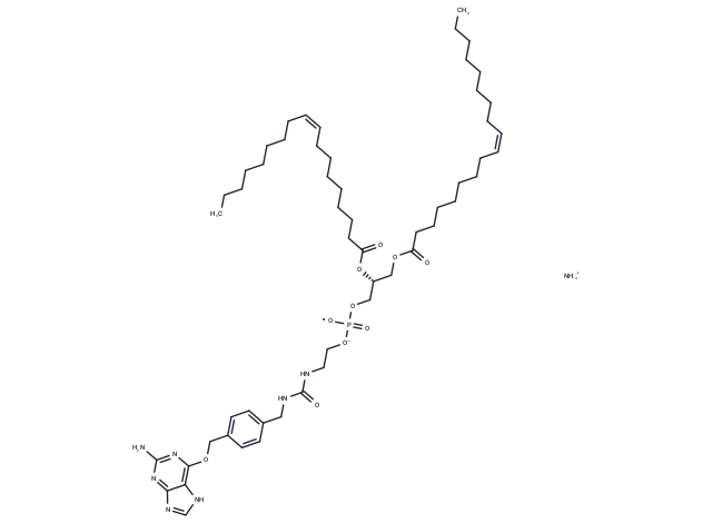 18:1 PE-Benzylguanine ammonium