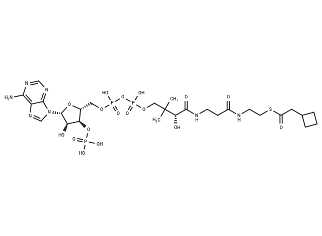 trans-3-Hexenoyl-CoA