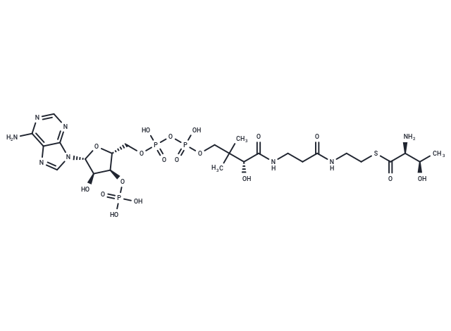 L-Threonine-CoA