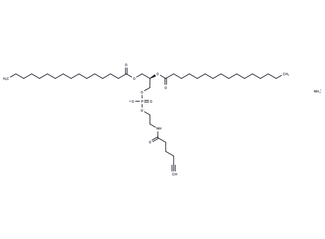 16:0 Hexynoyl PE ammonium