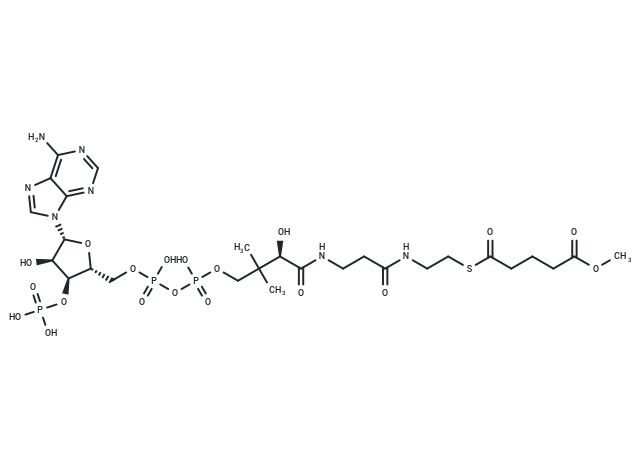 Methylglutaryl-CoA
