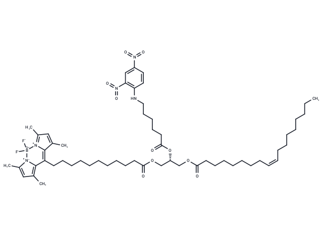 18:1-6:0 DNP-C11 BODIPY 505/515 TG