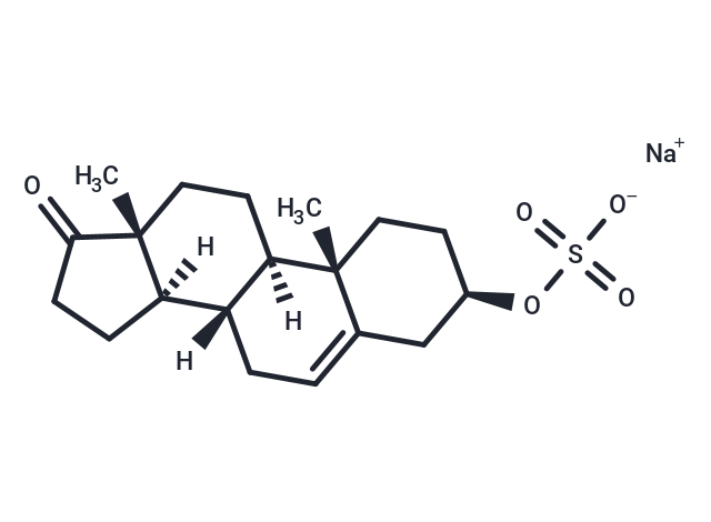 ent-DHEA Sulfate sodium