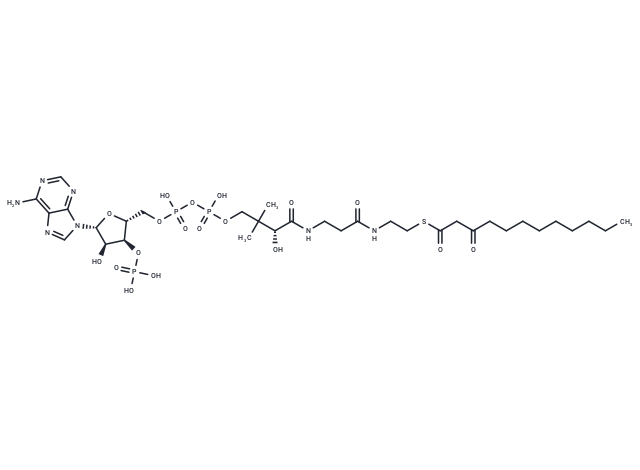 3-Oxododecanoyl-CoA